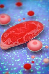 flyd-dRvi2FEQcXI-unsplash